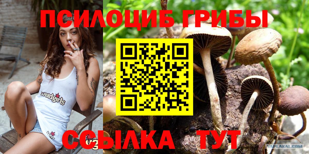 Галлюциногенные грибы Magic Shrooms Тольятти
